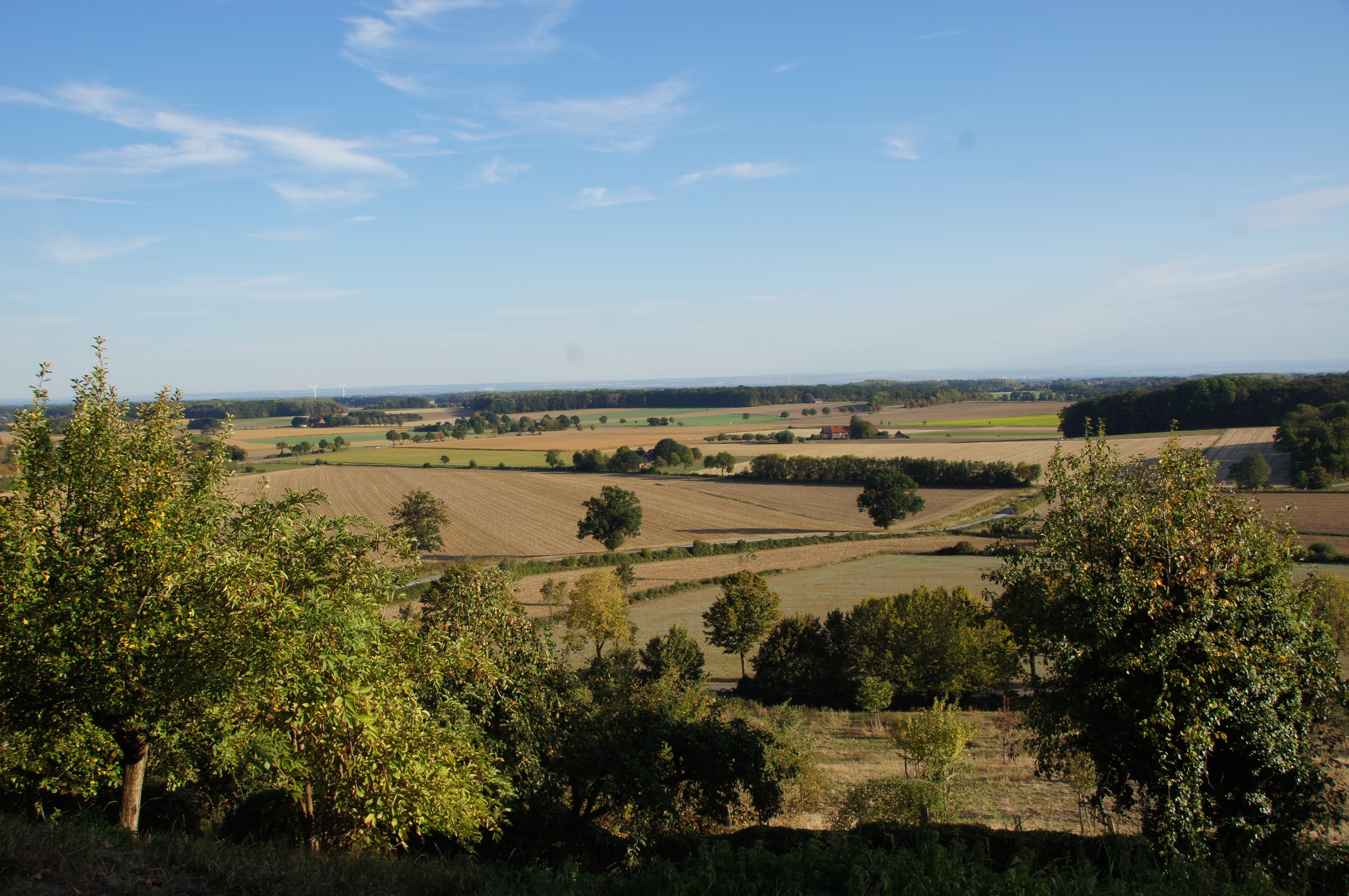 Blick vom Burgberg